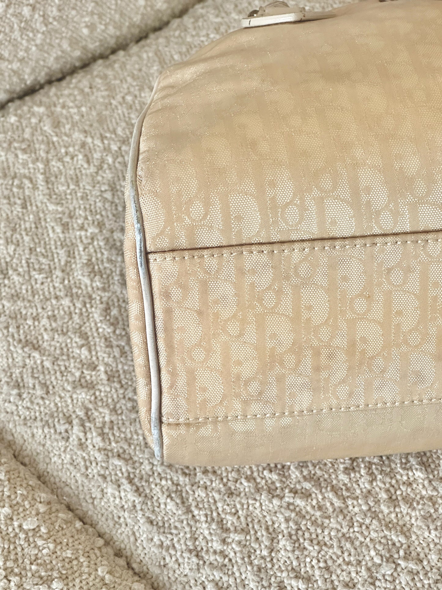 DIOR LOVELY CHARM TROTTER MINI TOTE BAG