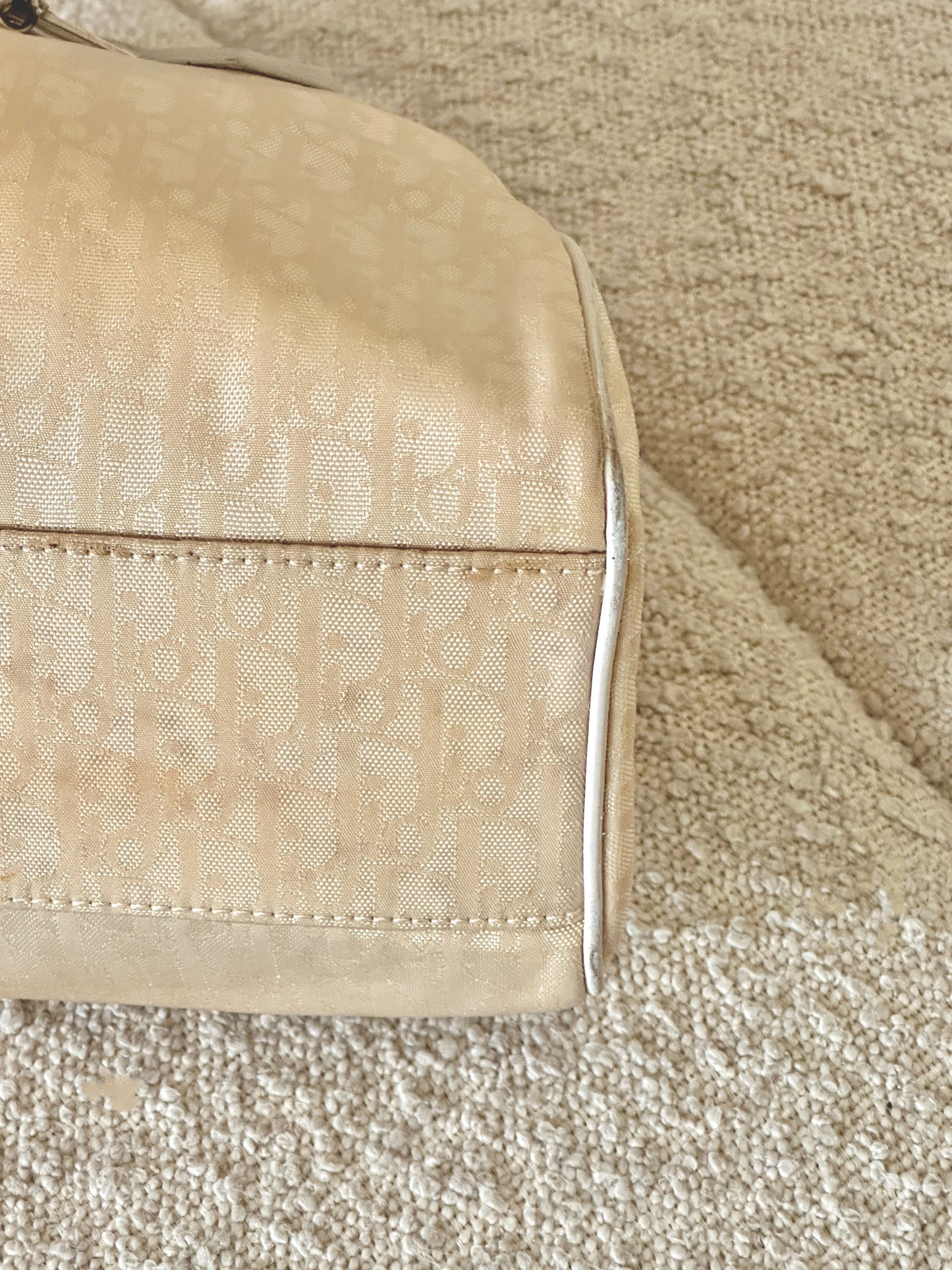 DIOR LOVELY CHARM TROTTER MINI TOTE BAG