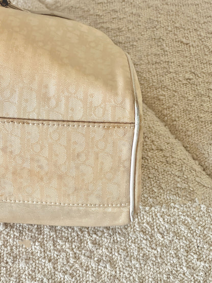 DIOR LOVELY CHARM TROTTER MINI TOTE BAG