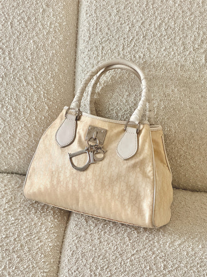 DIOR LOVELY CHARM TROTTER MINI TOTE BAG