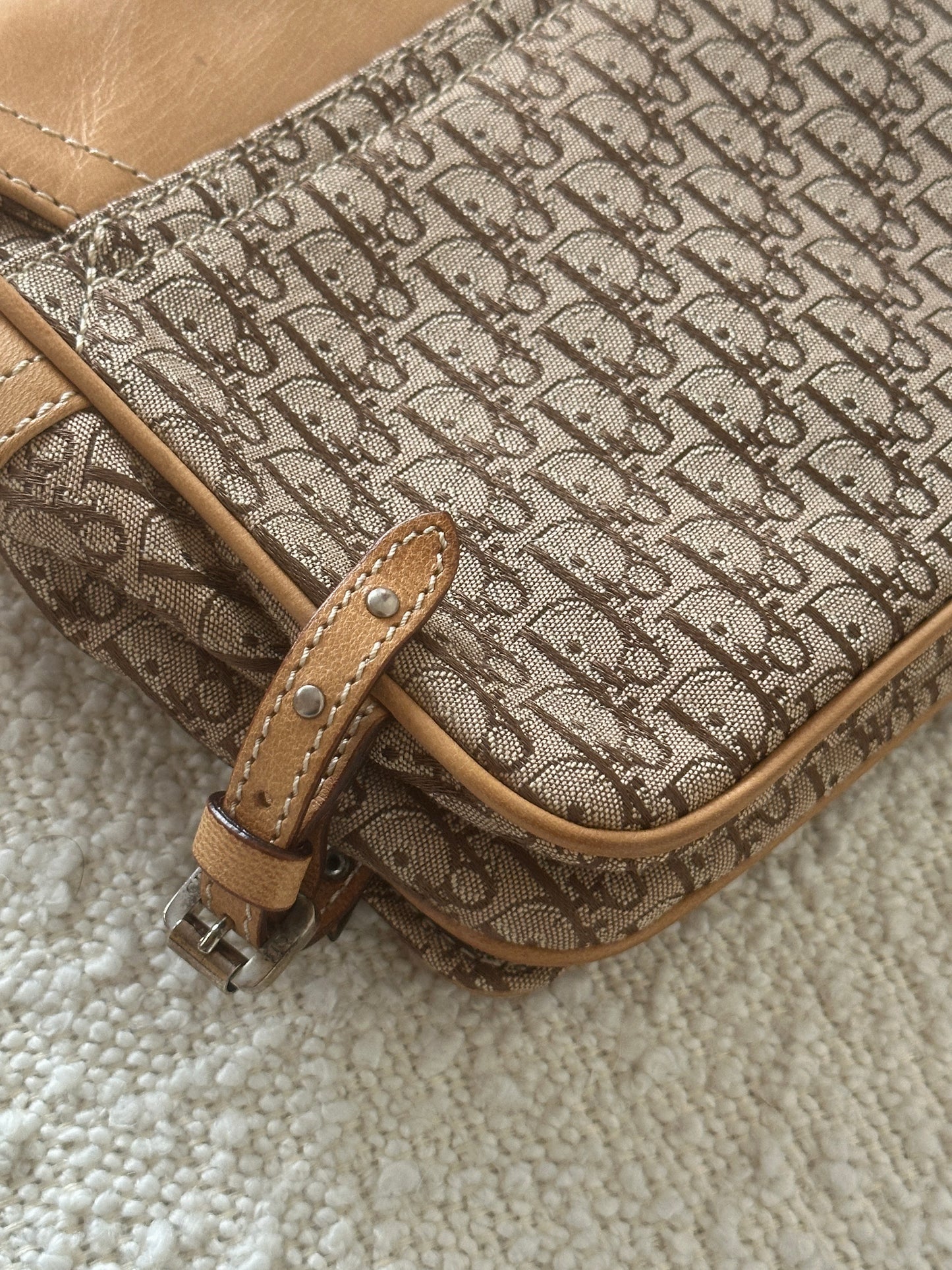 DIOR TROTTER STREET CHIC SHOULDER BAG